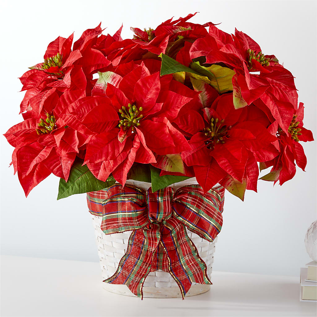 Happiest Holidays Poinsettia – Lupita Flowers, Novato CA