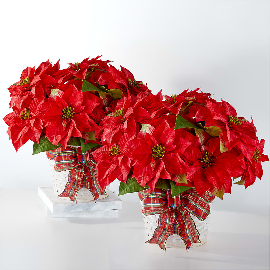 Happiest Holidays Poinsettia Bundle – Lupita Flowers, Novato CA