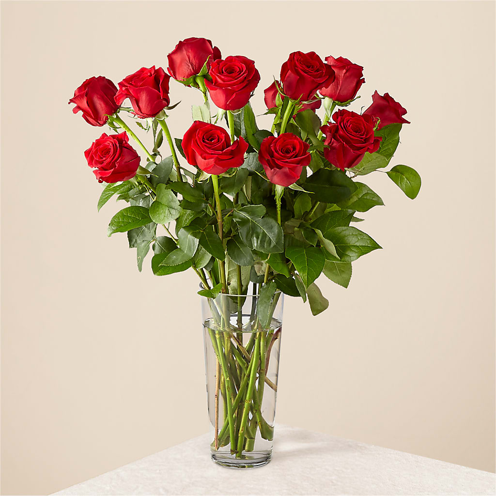 Long Stem Red Rose Bouquet – Lupita Flowers, Novato CA
