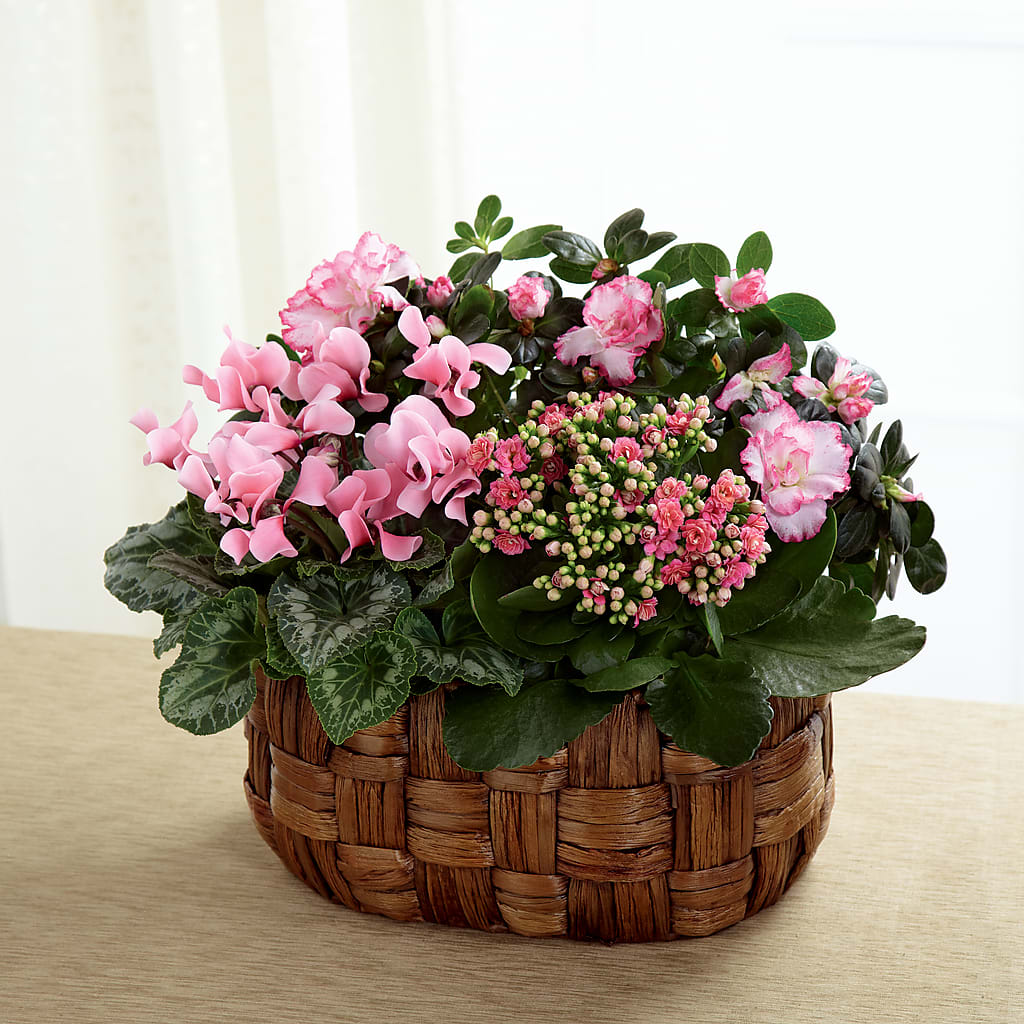 Pink Assortment – Lupita Flowers, Novato CA