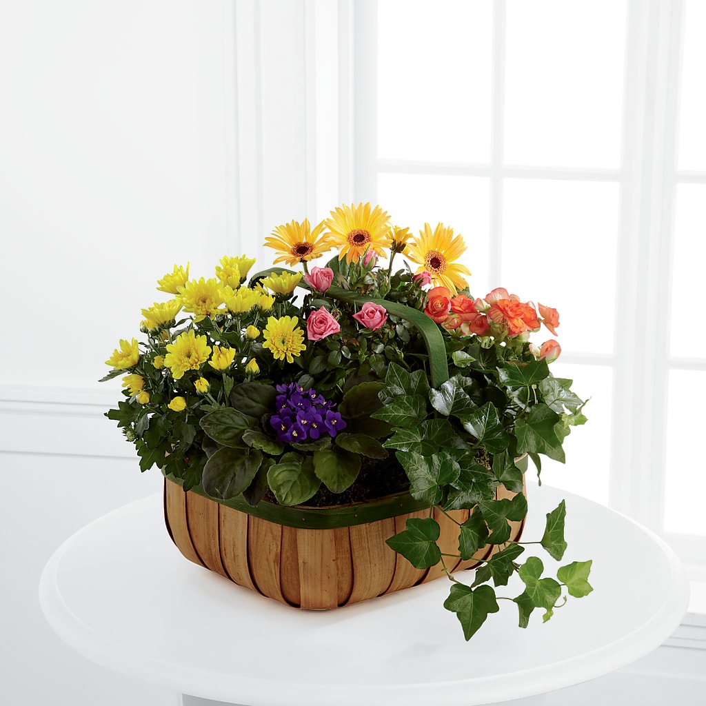 Gentle Blossoms Basket – Lupita Flowers, Novato CA