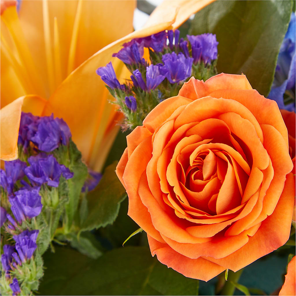 Radiant Citrus Box Bouquet – Lupita Flowers, Novato CA