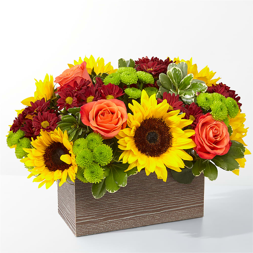 Happy Harvest Garden – Lupita Flowers, Novato CA