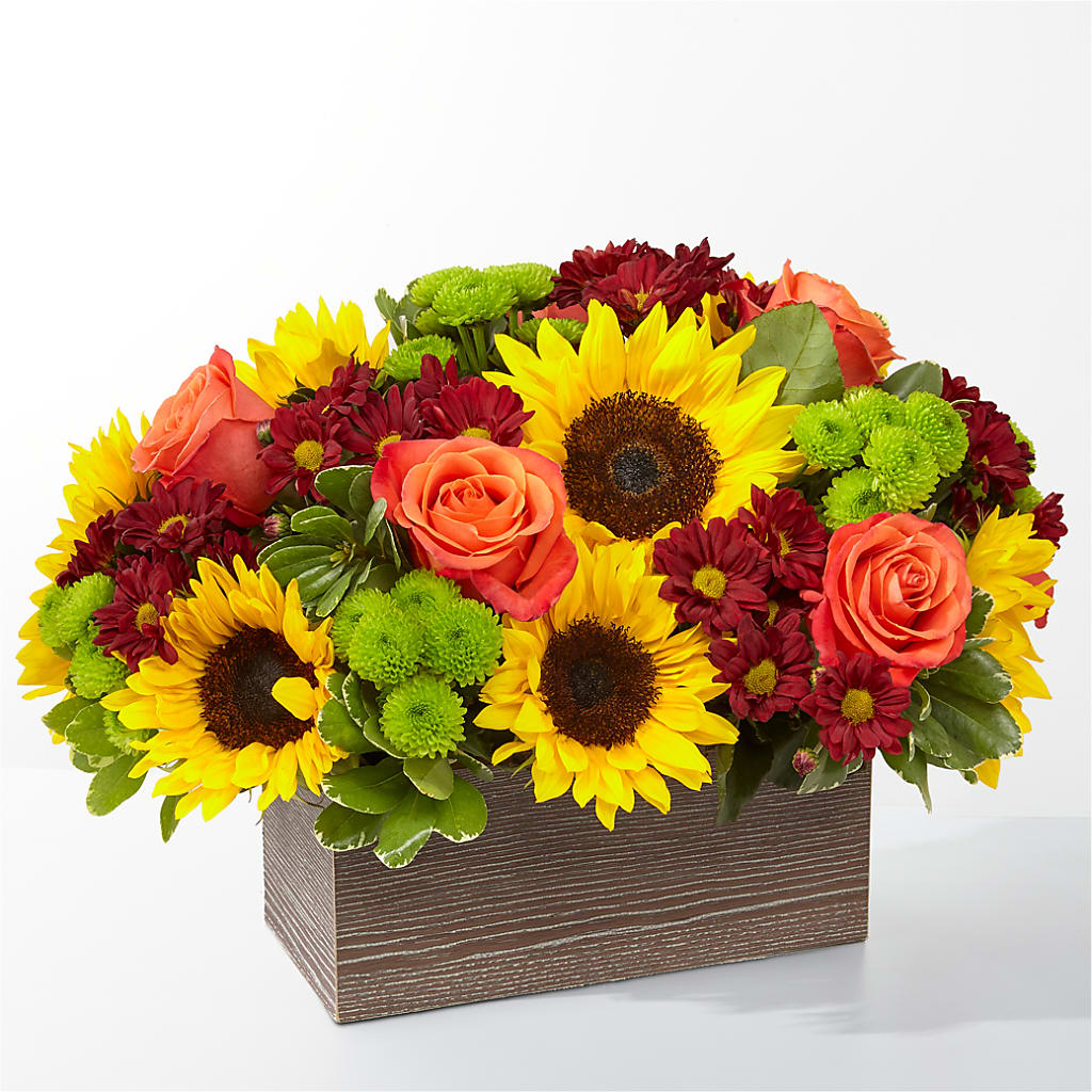 Happy Harvest Garden – Lupita Flowers, Novato CA