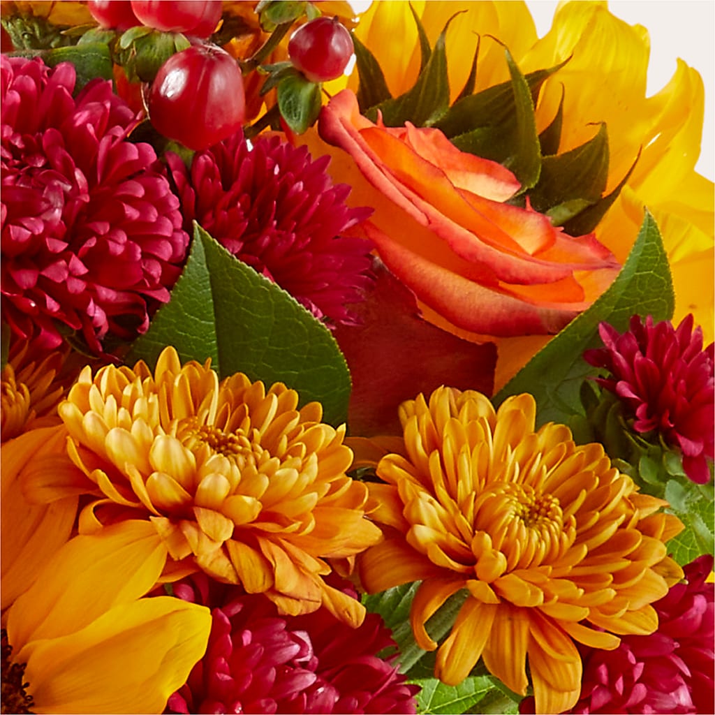 Sweater Season - A Florist Original – Lupita Flowers, Novato CA