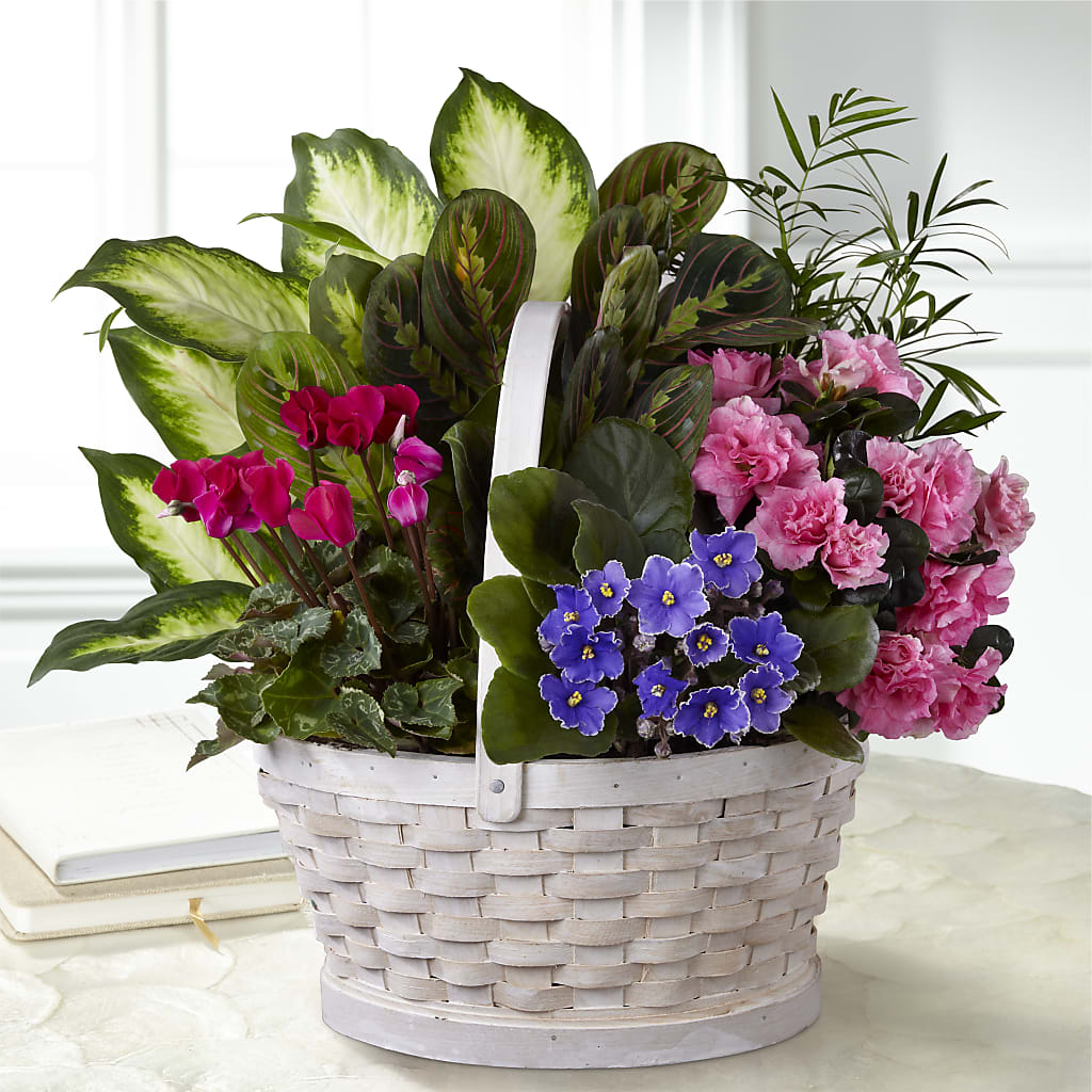 Peaceful Garden Planter – Lupita Flowers, Novato CA