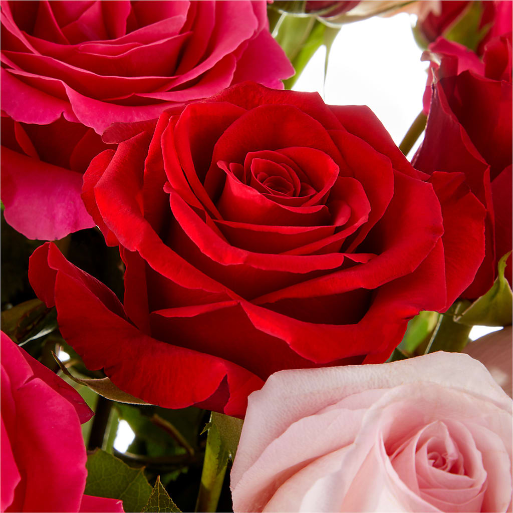 Love Notes Rose Bouquet – Lupita Flowers, Novato CA