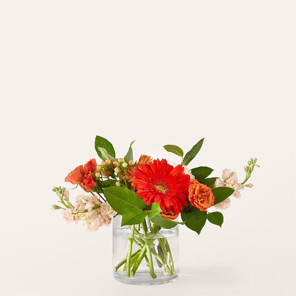 Paloma Please Bouquet – Lupita Flowers, Novato CA
