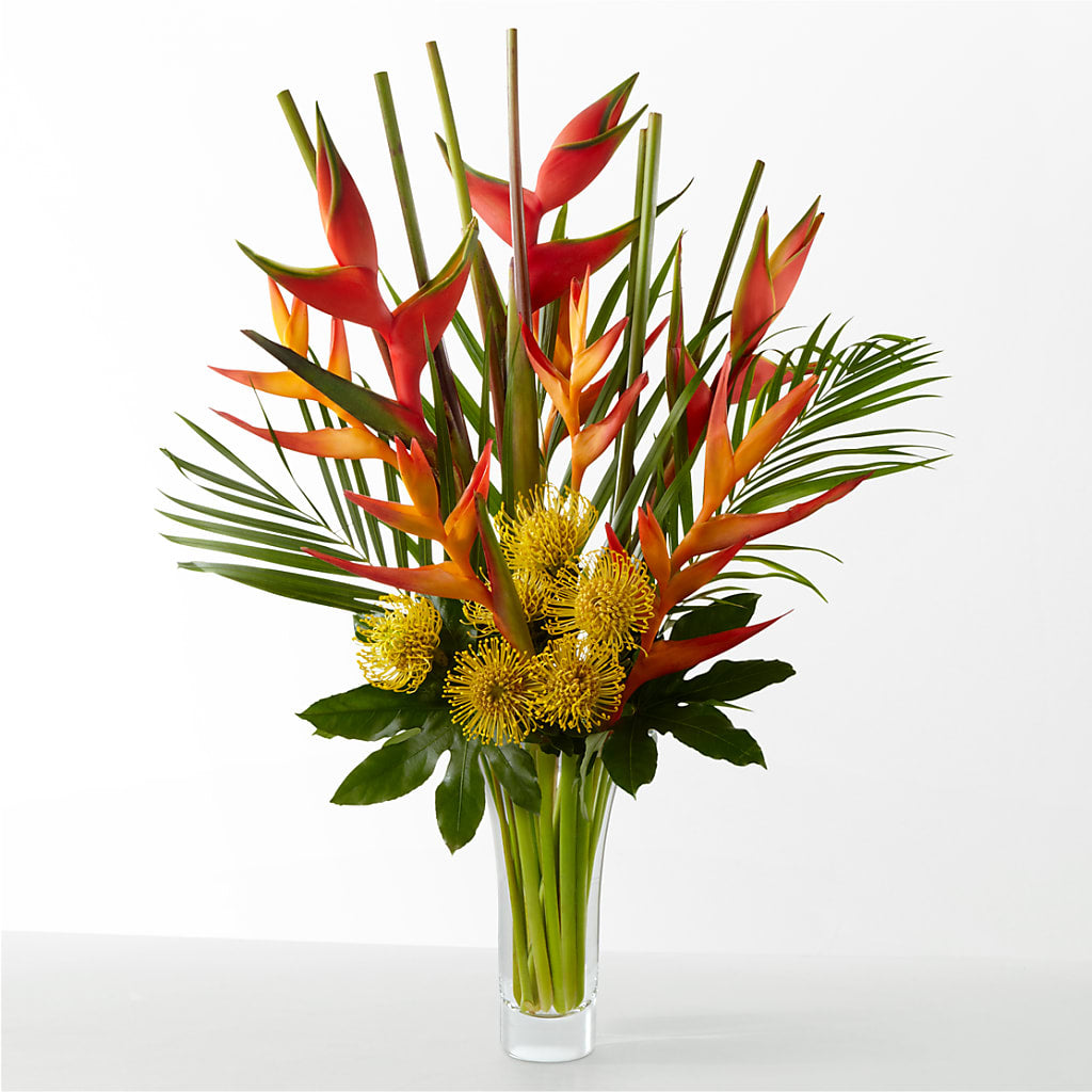 The Drama – Lupita Flowers, Novato CA