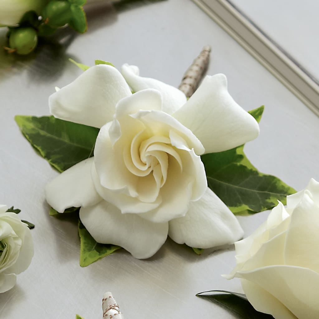 Gardenia Boutonniere – Lupita Flowers, Novato CA