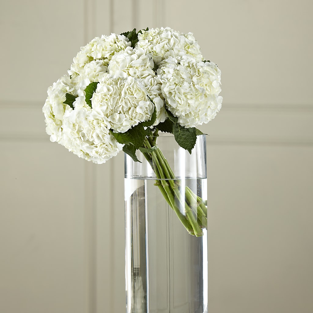 White Hydrangea Hand-Tied Bouquet – Lupita Flowers, Novato CA