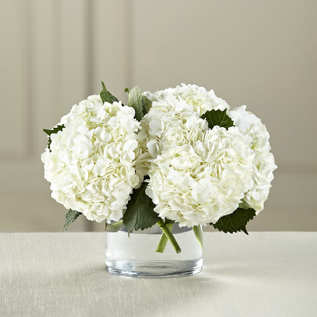 White Hydrangea Bouquet – Lupita Flowers, Novato CA