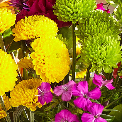 Bold & Bright – A Florist Original –  Lupita Flowers, Novato CA