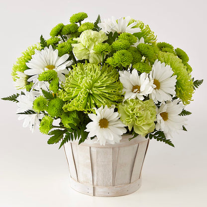 Lucky Charm Basket (Standard) –  Lupita Flowers, Novato CA