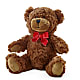 Adorable Plush Bear –  Lupita Flowers, Novato CA