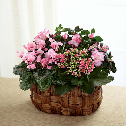 Pink Assortment –  Lupita Flowers, Novato CA