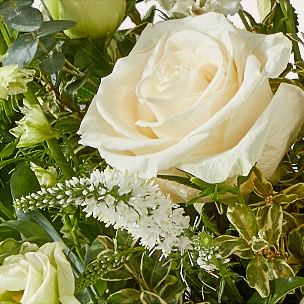 Cashmere Bouquet –  Lupita Flowers, Novato CA