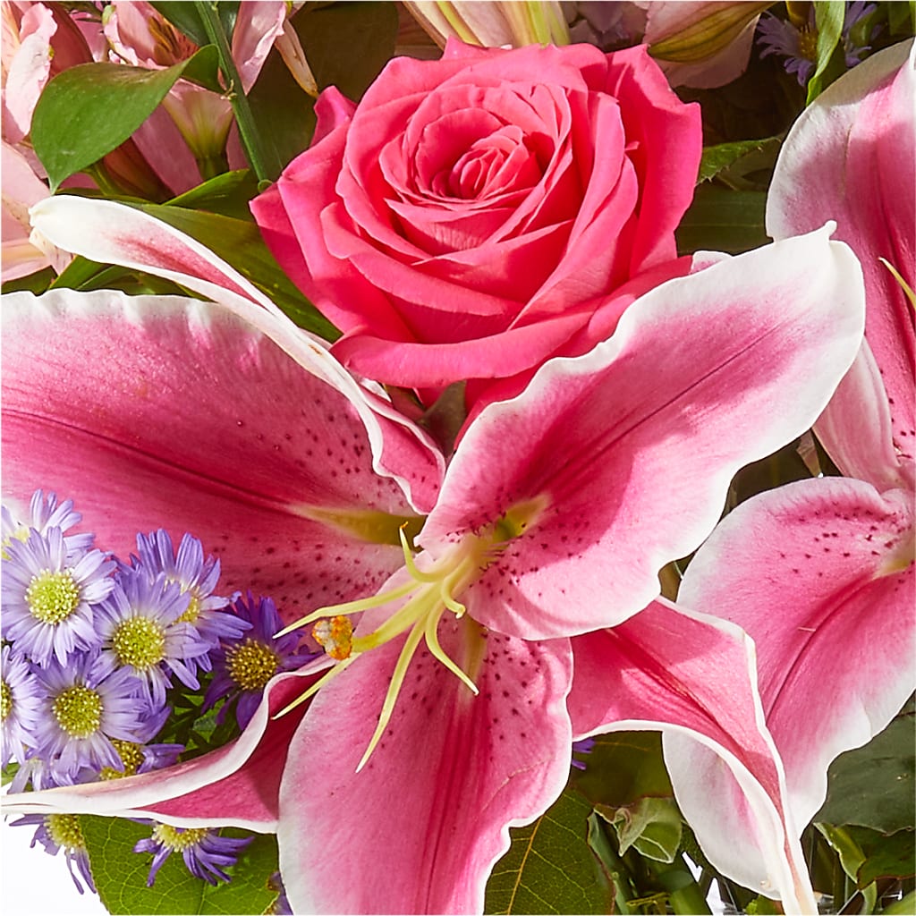 Written in the Stars Bouquet –  Lupita Flowers, Novato CA