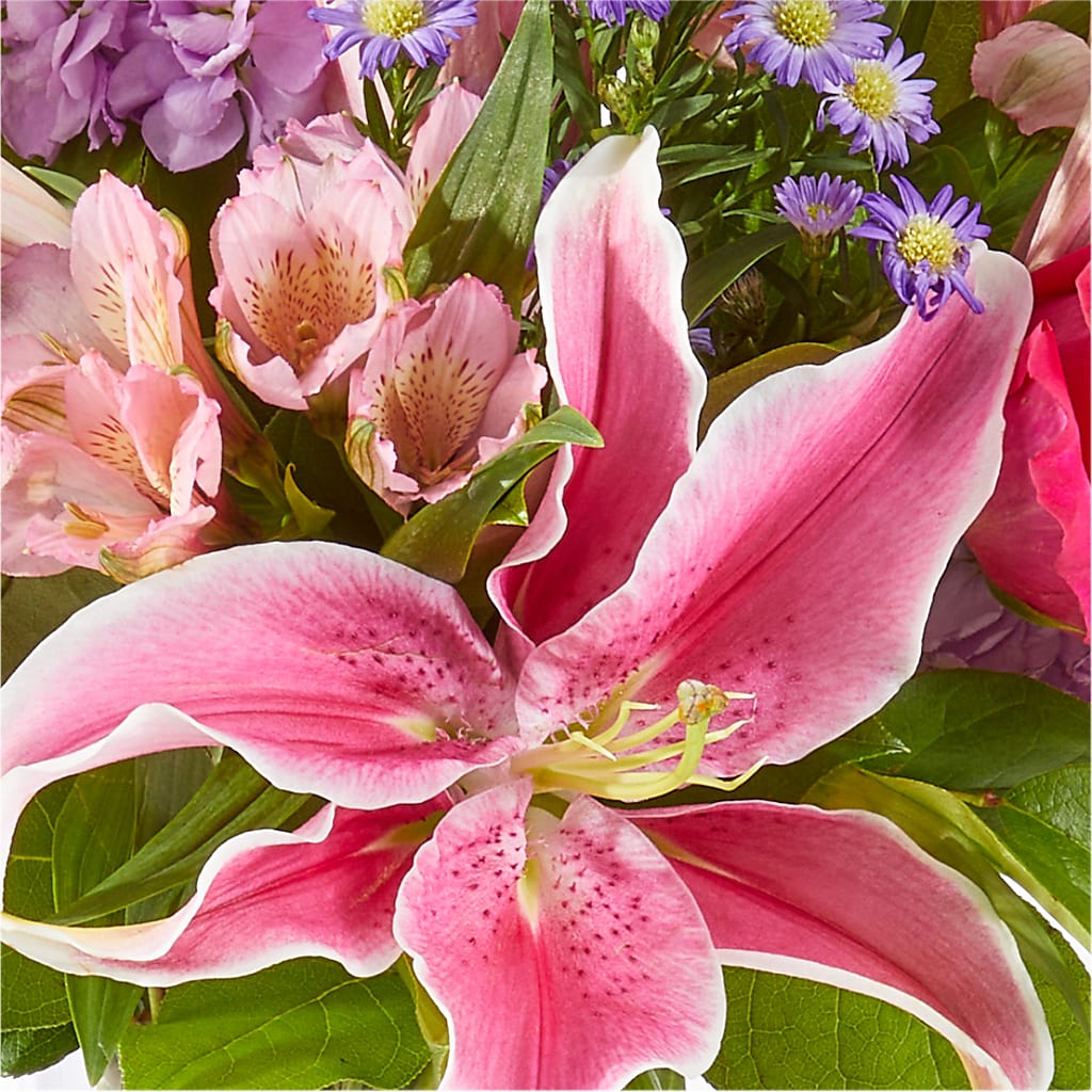 Written in the Stars Bouquet –  Lupita Flowers, Novato CA