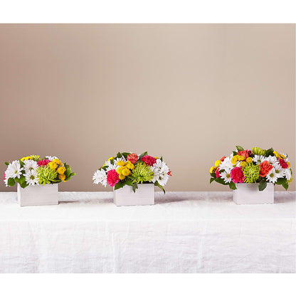 Sorbet Bouquet –  Lupita Flowers, Novato CA