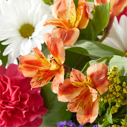 Oopsie Daisy Box Bouquet –  Lupita Flowers, Novato CA