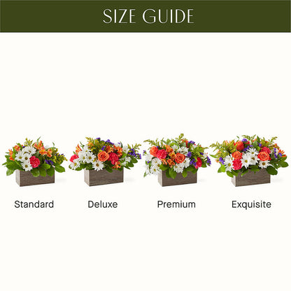 Oopsie Daisy Box Bouquet –  Lupita Flowers, Novato CA