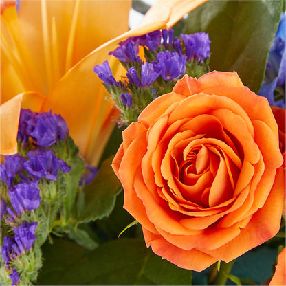 Radiant Citrus Box Bouquet –  Lupita Flowers, Novato CA