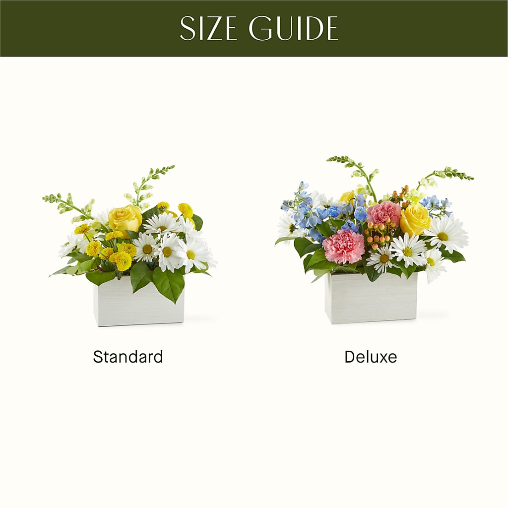 Sun Salutation Box Bouquet –  Lupita Flowers, Novato CA