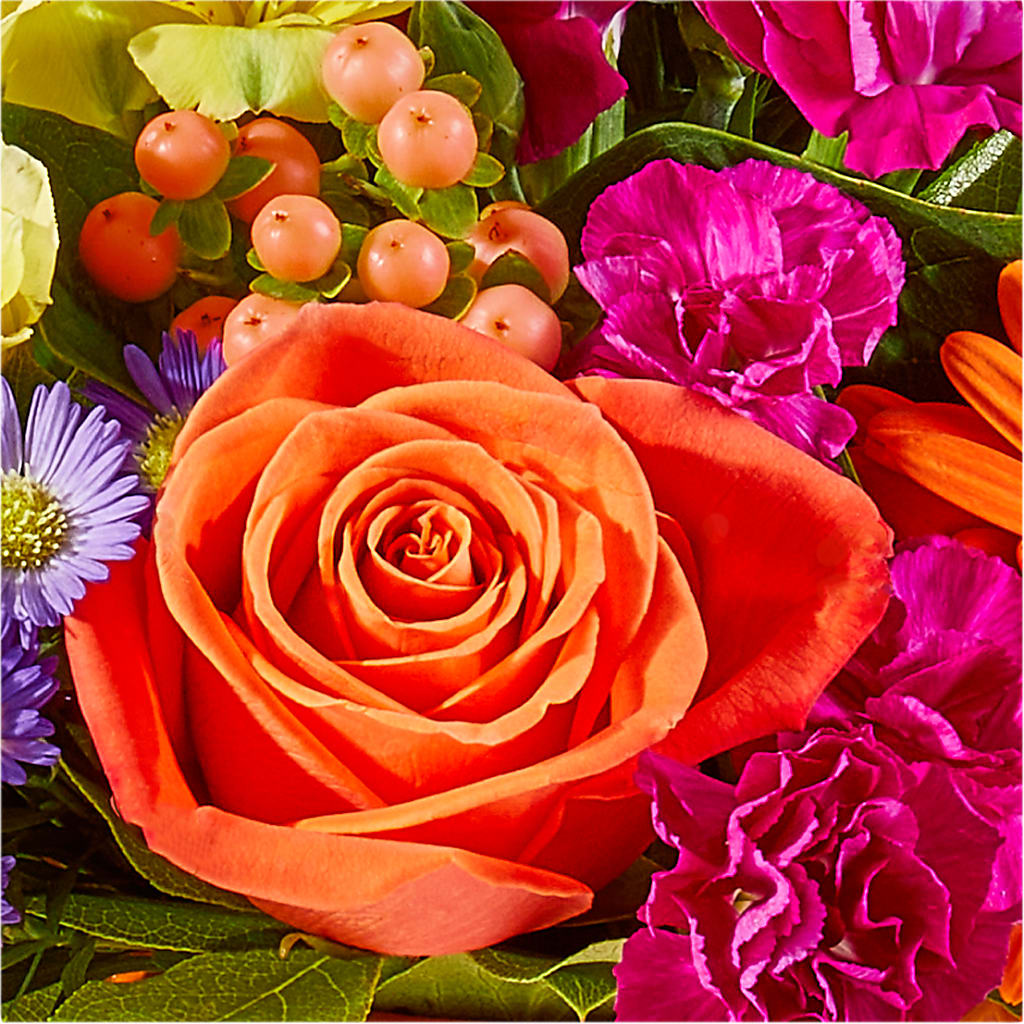 Tricks & Treats Pumpkin –  Lupita Flowers, Novato CA