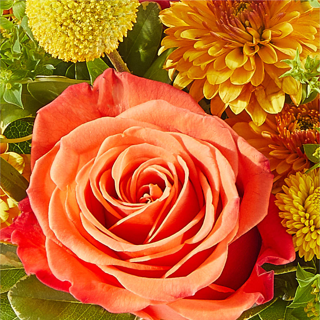 Gourdgeous Pumpkin –  Lupita Flowers, Novato CA