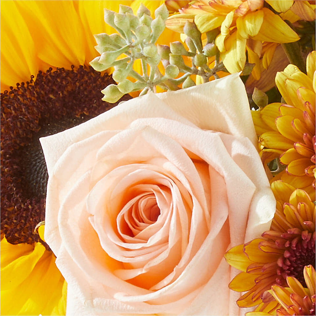 Pumpkin to Talk About Bouquet –  Lupita Flowers, Novato CA