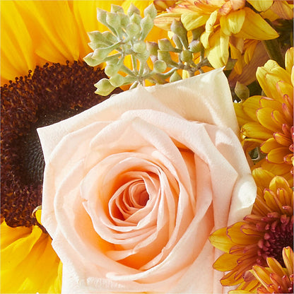 Pumpkin to Talk About Bouquet –  Lupita Flowers, Novato CA