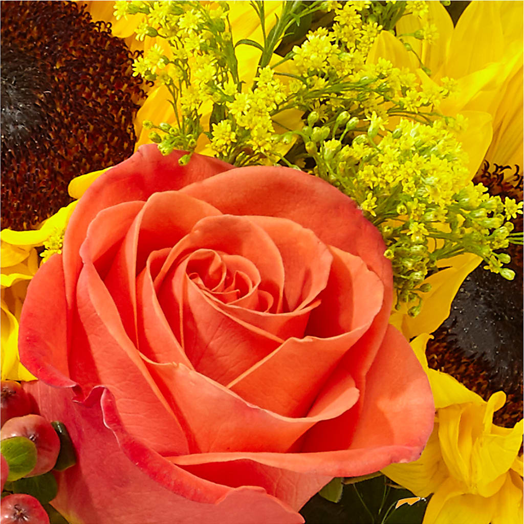 Pick of the Patch Pumpkin Bouquet –  Lupita Flowers, Novato CA