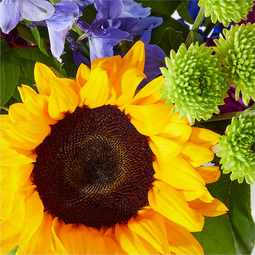 Catching Rays Bouquet –  Lupita Flowers, Novato CA