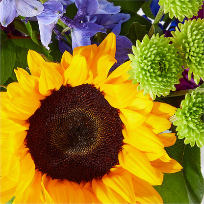Catching Rays Bouquet –  Lupita Flowers, Novato CA