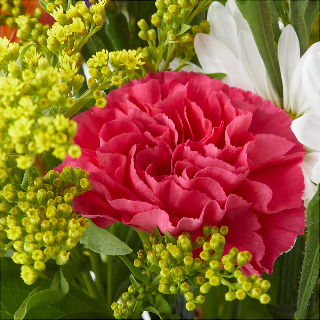 Oopsie Daisy Bouquet –  Lupita Flowers, Novato CA