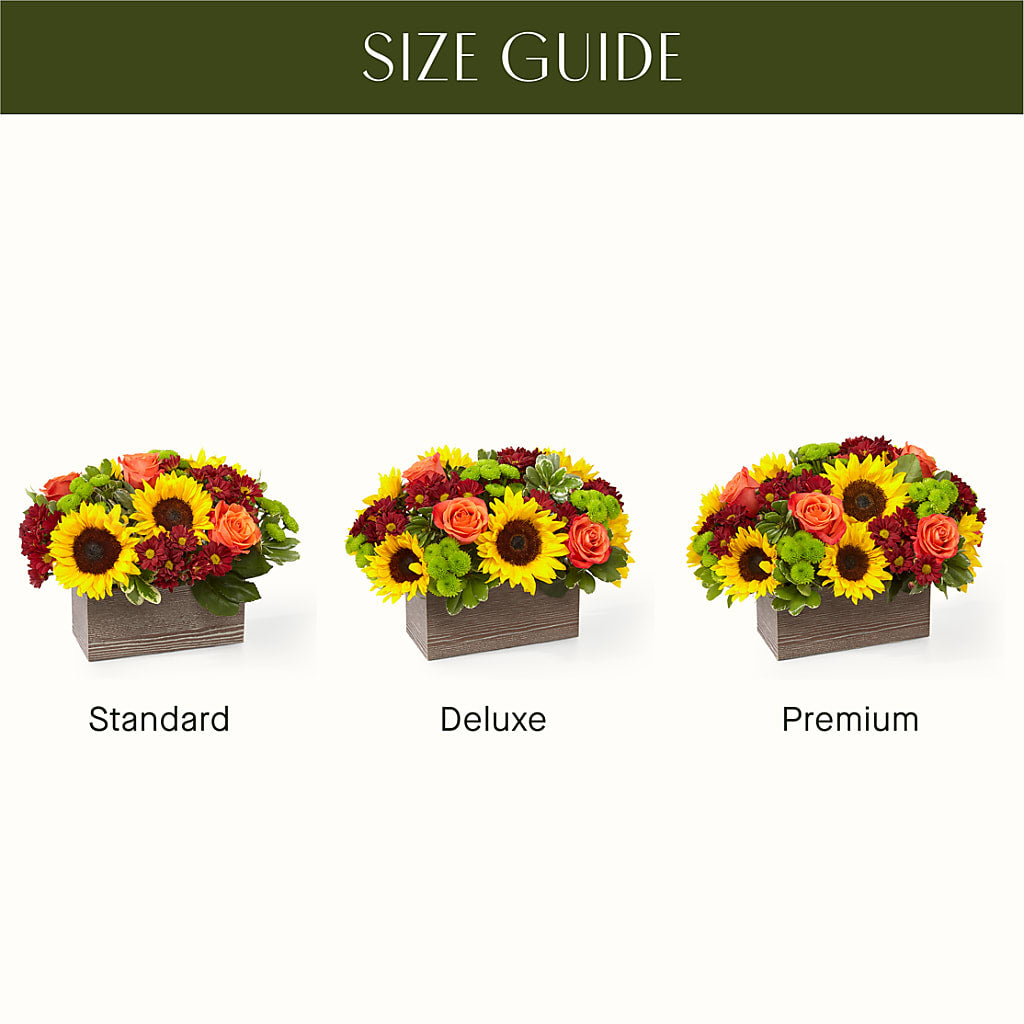 Happy Harvest Garden –  Lupita Flowers, Novato CA