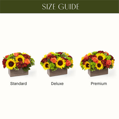Happy Harvest Garden –  Lupita Flowers, Novato CA