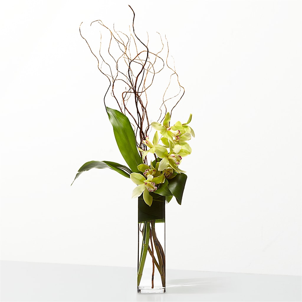 The Statement –  Lupita Flowers, Novato CA