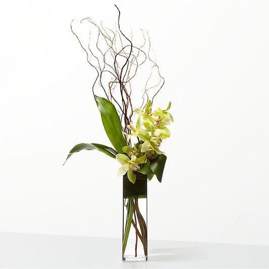 The Statement –  Lupita Flowers, Novato CA