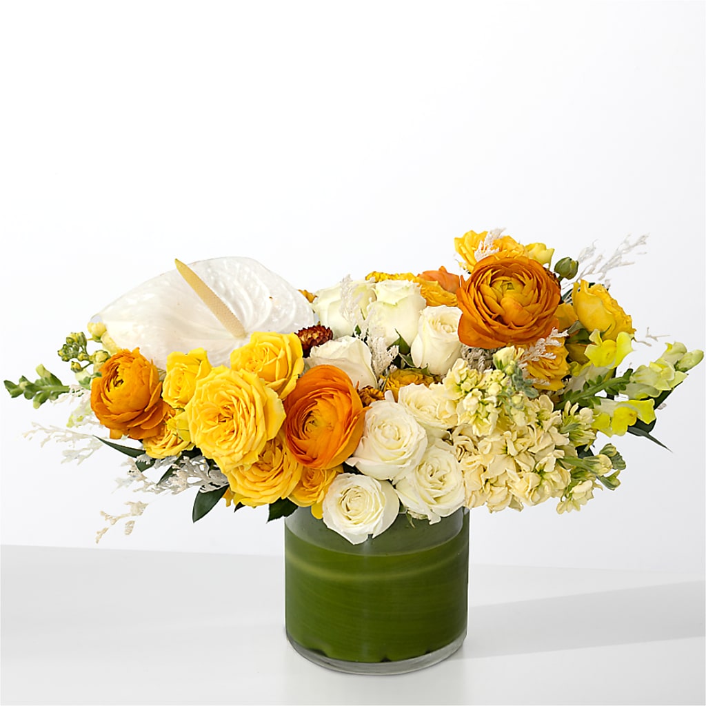 The Optimist –  Lupita Flowers, Novato CA