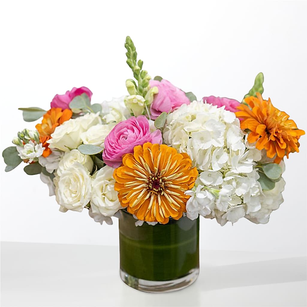 The Meet Cute –  Lupita Flowers, Novato CA
