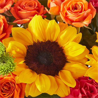 Sun-drenched Blooms Box Bouquet –  Lupita Flowers, Novato CA