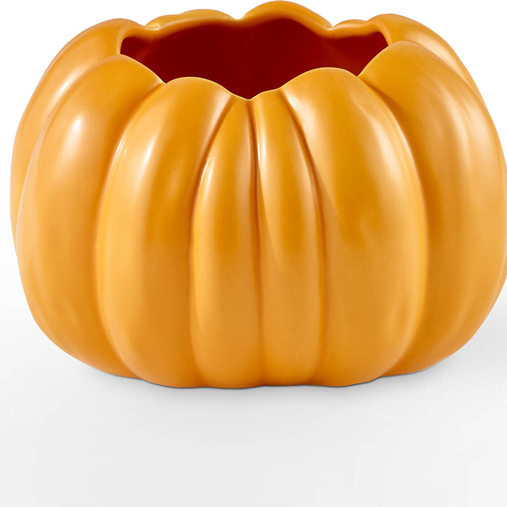 Golden Gourd Pumpkin Bouquet –  Lupita Flowers, Novato CA