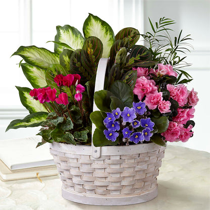 Peaceful Garden Planter –  Lupita Flowers, Novato CA