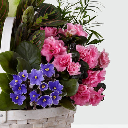 Peaceful Garden Planter –  Lupita Flowers, Novato CA