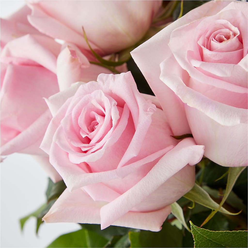 Picture Perfect Pink Rose Bouquet –  Lupita Flowers, Novato CA