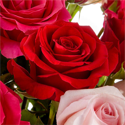 Love Notes Rose Bouquet –  Lupita Flowers, Novato CA