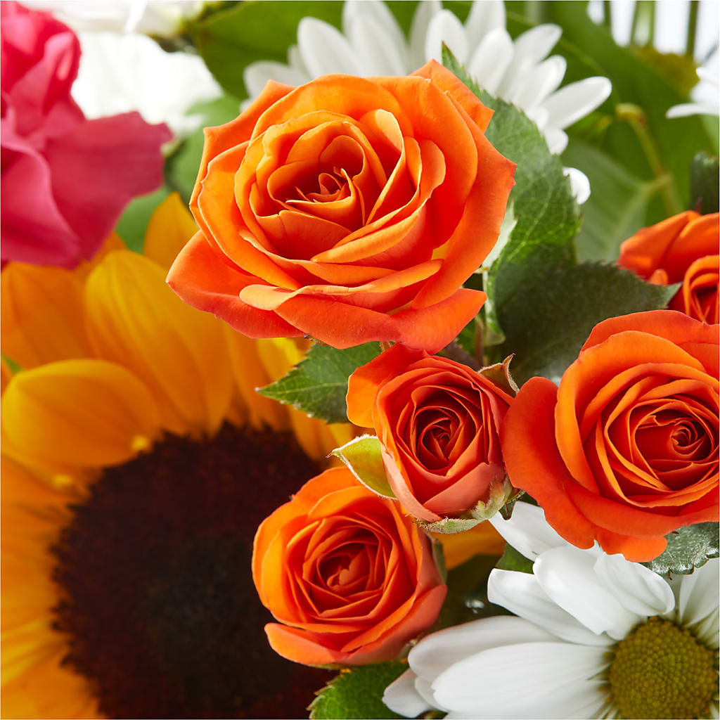 Sun-drenched Blooms Bouquet –  Lupita Flowers, Novato CA