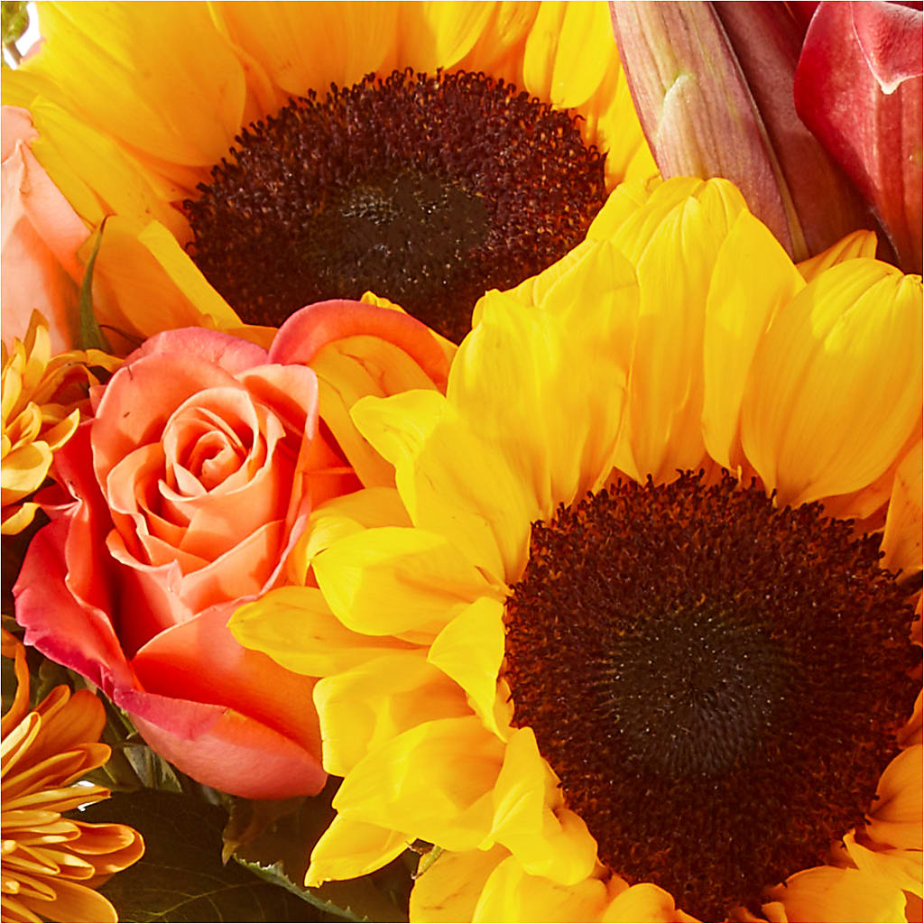 Acorn Lane Bouquet –  Lupita Flowers, Novato CA